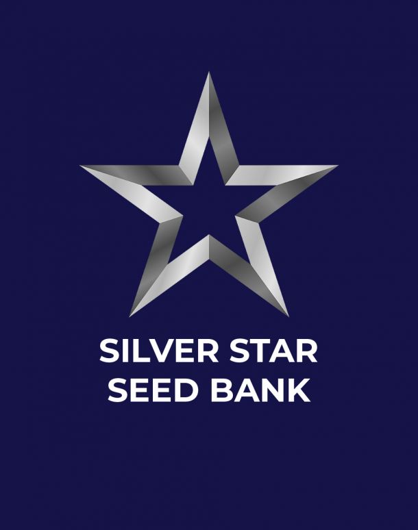 Silver Star Seed Bank wordpress website