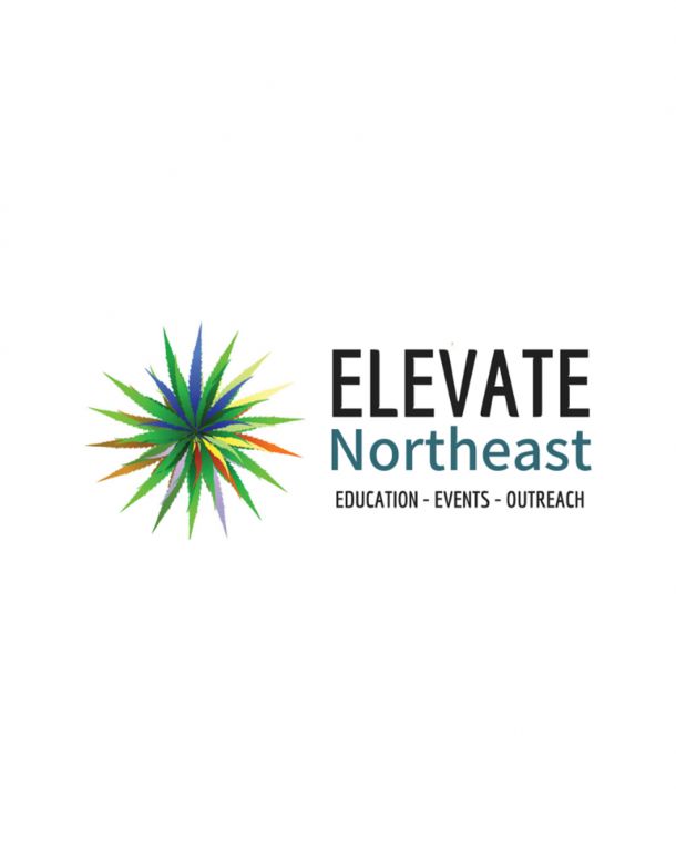 Elevate Northeast custom CBD wordpress website